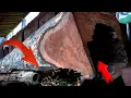 Download Lagu Shock, Dangerous Discovery While Sawing Old Teak Wood, See What the Man Found!