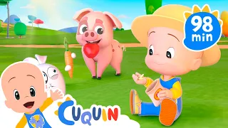 Plantar frutas e legumes com Cuquin e mais vídeos 🍎🥦 Desenhos animados para bebês