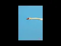 [WRP] Jordan Ward - FAMJAM4000