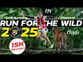 Download Lagu วิ่งเทรลจับเสือที่งาน Run For The Wild 2025