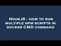 NodeJS how to run multiple npm scripts in docker CMD command