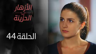 مسلسل الأزهار الحزينة الحلقة 44 الموسم الأول 