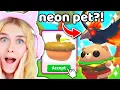 New Burger Bear Okee Box And Instant Neon Pet In adopt Me