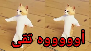 اغنية باسم تقى توتة الحلوة السعودية الكويت ابوظبي قطر مسقط البحرين العراق تركيا الجزائر دبي الكويت 