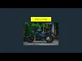 Displaying Selected Image On The Screen JavaScript Tutorial