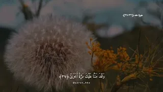 قد اوتيت سؤلك يا موسى    اللهم شعور هذه الاية   تلاوه هادئة تريح القلب بصوت القارئ راشد العفاسي    دندنها