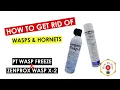 How To Get Rid Of Wasps and Hornets - PT Wasp Freeze II Zenprox Wasp X-2