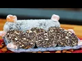 Download Lagu 👉Salam de Biscuiti 👨🏼‍🍳 NOBIL🏰 Desert SIMPLU si RAPID fara COACERE | Șef Paul Constantin