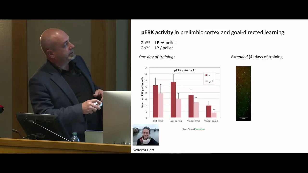 Reward, Reinforcement and the Neural Bases of Decision-making - Bernard Balleine