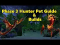 Phase 3 Hunter Pet Guide and Builds