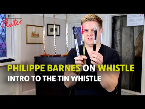 Tin whistle 2024 buy online