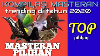 masteran burung populer untuk lomba di jamin joss