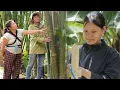 Download Lagu Khai started cutting trees to build a tent - Yen was happy because her mother gave her a lock.