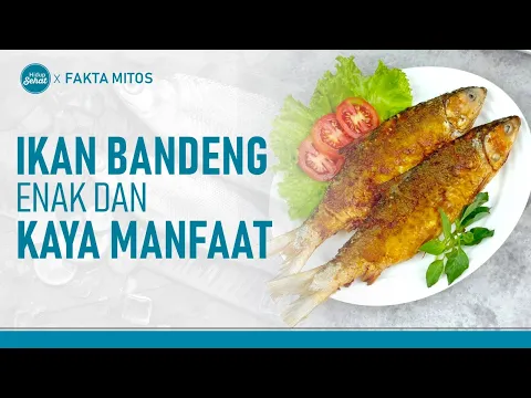Khasiat Ikan Bandeng Untuk Kesehatan