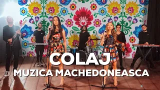 Download Trupa The Mood - Colaj muzica machedoneasca (Luna Alba/ Pamporea/ Un trandafir creste la firida mea) MP3