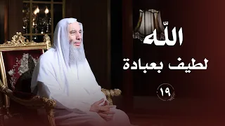 الله لطيف بعباده    حلقة    من برنامج لطائف   فضيلة الشيخ د  محمد حسان دندنها