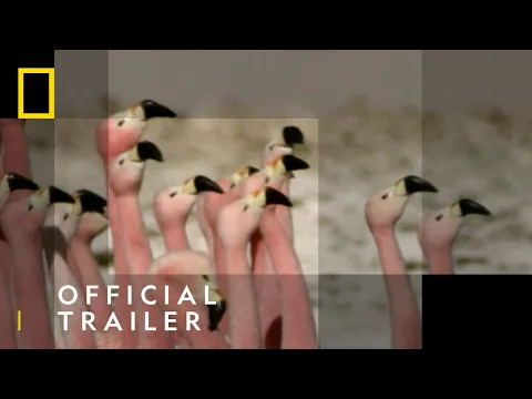 Official Trailer