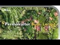 Ini Dia Pelopor Permakultur di Indonesia! - Bumi Langit