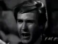 NEW * I Fought The Law - Bobby Fuller Four {Stereo}