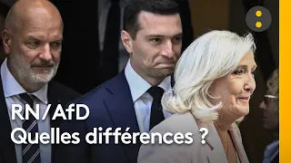 RN / AfD : Quelles sont les différences entre ces anciens alliés ?