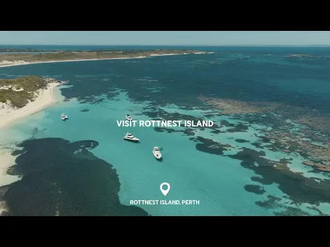 Things to Do in Western Australia: Wildlife & Walks