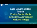 Labii Column Widget Tutorial Post to Social Media Linkedin Autonatically with API widget