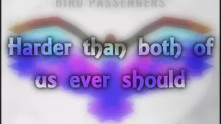 Bird Passengers - Running Out Of Time [Lyrics on screen]