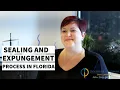 How to Seal or Expunge Florida Criminal Record Sealing and Expungement Process in Florida