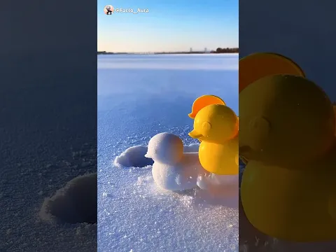 Pinky Kehti Rahi… Papa Ne Bana Diya Ye Cute Sa Duck! 🦆😍