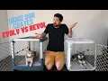 Diggs Evolv vs Revol Key Differences Similarities Our Verdict