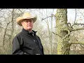Oklahoma s deadly coal mine land