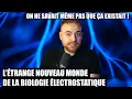 Lagu On vient de découvrir un monde stupéfiant de biologie électrostatique