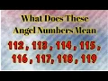 112 113 114 115 116 117 118 119 Angel Number and Numerological Meaning Twinflame Journey