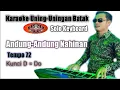 Download Lagu Andung-Andung Nahinan || Siboru mauas || Kunci D || Karaoke || Solo Keyboard