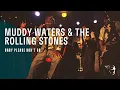 Download Lagu Muddy Waters \u0026 The Rolling Stones - Baby Please Don't Go (Live At Checkerboard Lounge)