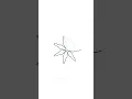 animation creating a star Math and art in perfect motion