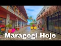Maragogi Alagoas June 23 2026 Important Information