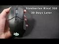 Update Steelseries Rival 310 - 30 Days later