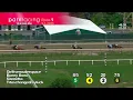 Race 25 Parx Appreciation