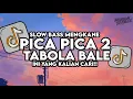 Download Lagu Dj Pica Pica 2 X Tabola Bale Mashup Slow Bass Santuy Style Trabas Viral TikTok 2025