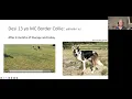 Canine Recovery Dr Wendy Herlihy s Insights on Shockwave Therapy Staff Training