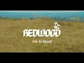 Download Lagu Redwood - Ode To Myself (Official Music Video)