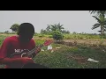 Download Lagu Pelangi Baruku versi ukulele