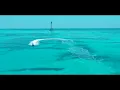 GAMBINO - MEXICO (Clip Officiel)