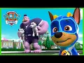 Mighty Pups Charged Up fix the train tracks and More - PAW Patrol