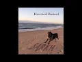 Download Lagu SARKH - Heretical Bastard (full Album 2025)