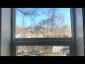 Menards Performax Window 1 Year Review