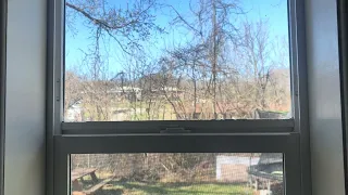 Menards Performax Window 1 Year Review
