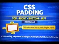 CSS Padding Explained in Bengali Padding Top Right Bottom Left