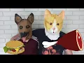Download Lagu Shaggy dog and chicken with balloons